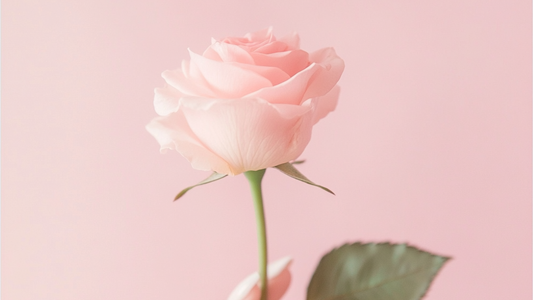 60分のメニュー